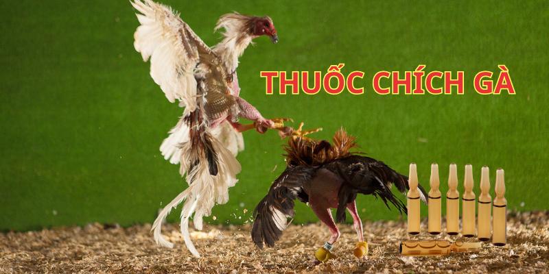 Top 5 Loại Thuốc Chích Gà Được Sử Dụng Nhiều Nhất Hiện Nay